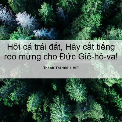 Picture 06 - Thánh Thi 100:1 VIE - Hỡi cả trái đất, Hãy cất tiếng reo - Bible Verse Picture