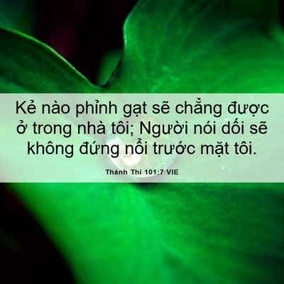 Picture 06 - Thánh Thi 101:7 VIE - Kẻ nào phỉnh gạt sẽ chẳng được ở - Bible Verse Picture