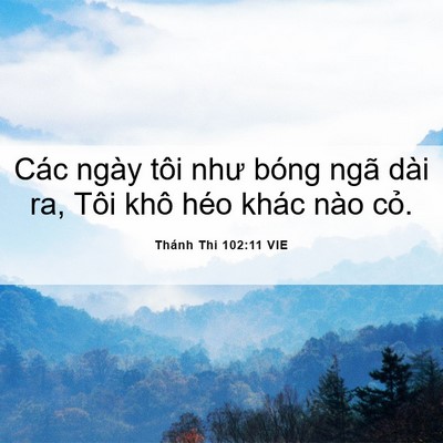 Picture 06 - Thánh Thi 102:11 VIE - Các ngày tôi như bóng ngã dài ra, Tôi - Bible Verse Picture