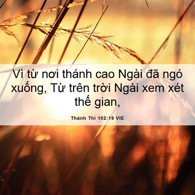 Picture 06 - Thánh Thi 102:19 VIE - Vì từ nơi thánh cao Ngài đã ngó xuống, - Bible Verse Picture