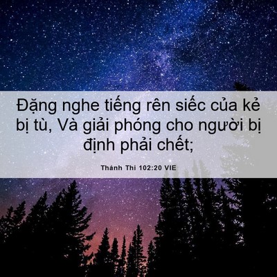 Picture 06 - Thánh Thi 102:20 VIE - Đặng nghe tiếng rên siếc của kẻ bị - Bible Verse Picture
