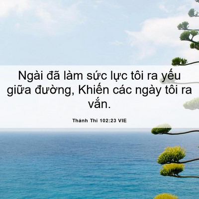 Picture 06 - Thánh Thi 102:23 VIE - Ngài đã làm sức lực tôi ra yếu giữa - Bible Verse Picture