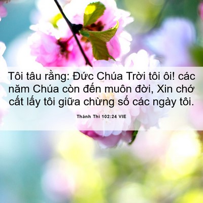 Picture 06 - Thánh Thi 102:24 VIE - Tôi tâu rằng: Đức Chúa Trời tôi ôi! - Bible Verse Picture