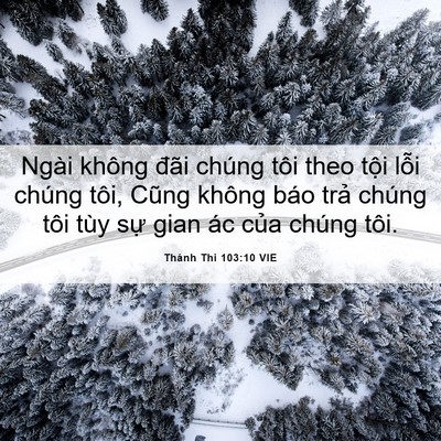 Picture 06 - Thánh Thi 103:10 VIE - Ngài không đãi chúng tôi theo tội lỗi - Bible Verse Picture