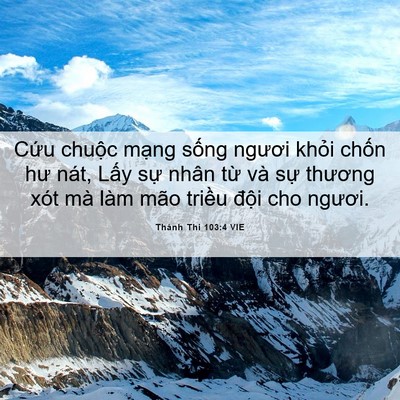 Picture 06 - Thánh Thi 103:4 VIE - Cứu chuộc mạng sống ngươi khỏi chốn - Bible Verse Picture