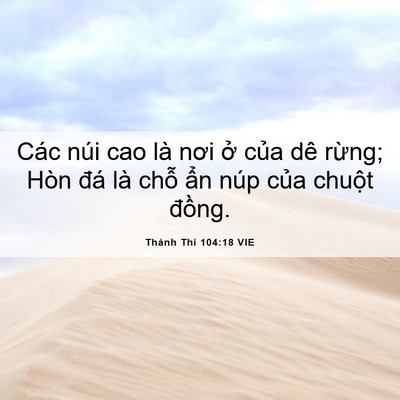 Picture 06 - Thánh Thi 104:18 VIE - Các núi cao là nơi ở của dê rừng; Hòn - Bible Verse Picture
