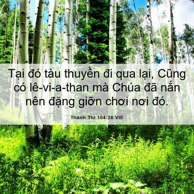 Picture 06 - Thánh Thi 104:26 VIE - Tại đó tàu thuyền đi qua lại, Cũng có - Bible Verse Picture