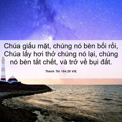 Picture 06 - Thánh Thi 104:29 VIE - Chúa giấu mặt, chúng nó bèn bối rối, - Bible Verse Picture