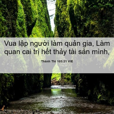 Picture 06 - Thánh Thi 105:21 VIE - Vua lập người làm quản gia, Làm quan cai - Bible Verse Picture