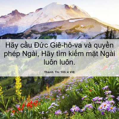 Picture 06 - Thánh Thi 105:4 VIE - Hãy cầu Đức Giê-hô-va và quyền phép - Bible Verse Picture