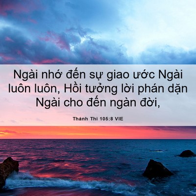 Picture 06 - Thánh Thi 105:8 VIE - Ngài nhớ đến sự giao ước Ngài luôn - Bible Verse Picture