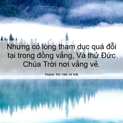 Picture 06 - Thánh Thi 106:14 VIE - Nhưng có lòng tham dục quá đỗi tại - Bible Verse Picture