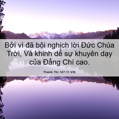 Picture 06 - Thánh Thi 107:11 VIE - Bởi vì đã bội nghịch lời Đức Chúa - Bible Verse Picture