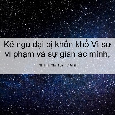 Picture 06 - Thánh Thi 107:17 VIE - Kẻ ngu dại bị khốn khổ Vì sự vi - Bible Verse Picture