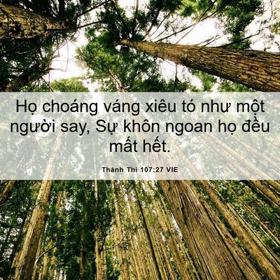 Picture 06 - Thánh Thi 107:27 VIE - Họ choáng váng xiêu tó như một người - Bible Verse Picture