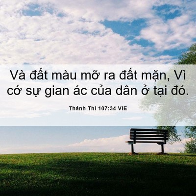 Picture 06 - Thánh Thi 107:34 VIE - Và đất màu mỡ ra đất mặn, Vì cớ - Bible Verse Picture