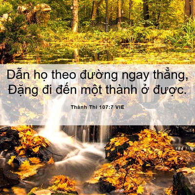 Picture 06 - Thánh Thi 107:7 VIE - Dẫn họ theo đường ngay thẳng, Đặng - Bible Verse Picture