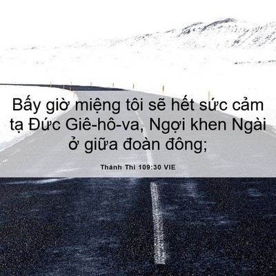 Picture 06 - Thánh Thi 109:30 VIE - Bấy giờ miệng tôi sẽ hết sức cảm - Bible Verse Picture