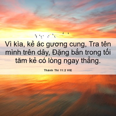 Picture 06 - Thánh Thi 11:2 VIE - Vì kìa, kẻ ác gương cung, Tra tên mình - Bible Verse Picture