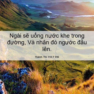 Picture 06 - Thánh Thi 110:7 VIE - Ngài sẽ uống nước khe trong đường, - Bible Verse Picture