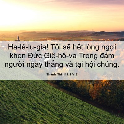 Picture 06 - Thánh Thi 111:1 VIE - Ha-lê-lu-gia! Tôi sẽ hết lòng ngợi khen - Bible Verse Picture