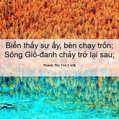 Picture 06 - Thánh Thi 114:3 VIE - Biển thấy sự ấy, bèn chạy trốn; - Bible Verse Picture