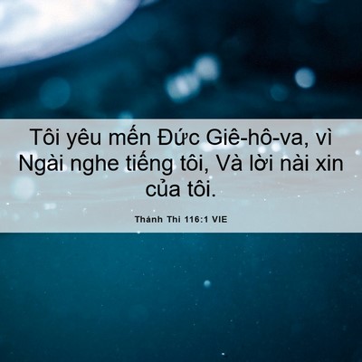 Picture 06 - Thánh Thi 116:1 VIE - Tôi yêu mến Đức Giê-hô-va, vì Ngài - Bible Verse Picture