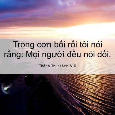 Picture 06 - Thánh Thi 116:11 VIE - Trong cơn bối rối tôi nói rằng: Mọi - Bible Verse Picture