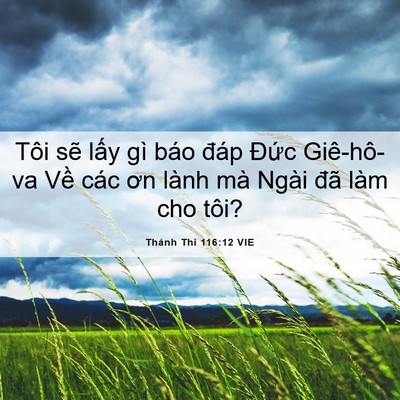 Picture 06 - Thánh Thi 116:12 VIE - Tôi sẽ lấy gì báo đáp Đức Giê-hô-va - Bible Verse Picture