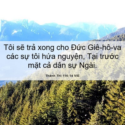 Picture 06 - Thánh Thi 116:14 VIE - Tôi sẽ trả xong cho Đức Giê-hô-va các - Bible Verse Picture