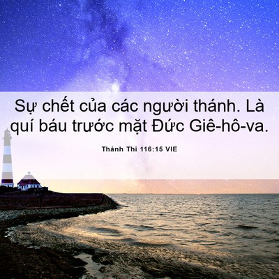 Picture 06 - Thánh Thi 116:15 VIE - Sự chết của các người thánh. Là quí - Bible Verse Picture