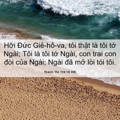 Picture 06 - Thánh Thi 116:16 VIE - Hỡi Đức Giê-hô-va, tôi thật là tôi - Bible Verse Picture