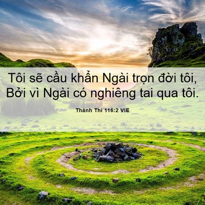 Picture 06 - Thánh Thi 116:2 VIE - Tôi sẽ cầu khẩn Ngài trọn đời tôi, - Bible Verse Picture
