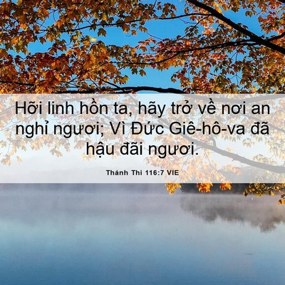 Picture 06 - Thánh Thi 116:7 VIE - Hỡi linh hồn ta, hãy trở về nơi an - Bible Verse Picture