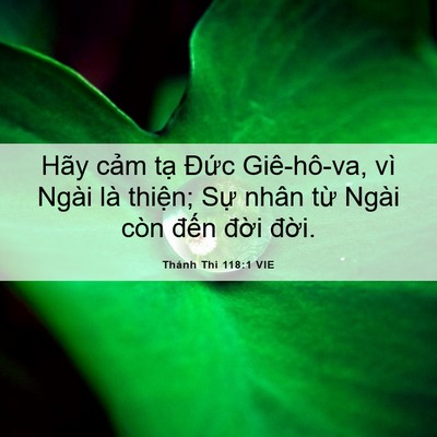 Picture 06 - Thánh Thi 118:1 VIE - Hãy cảm tạ Đức Giê-hô-va, vì Ngài là - Bible Verse Picture