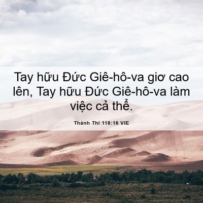 Picture 06 - Thánh Thi 118:16 VIE - Tay hữu Đức Giê-hô-va giơ cao lên, Tay - Bible Verse Picture