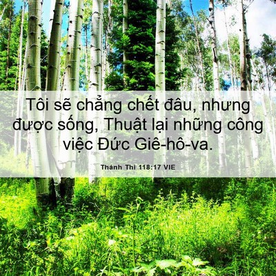 Picture 06 - Thánh Thi 118:17 VIE - Tôi sẽ chẳng chết đâu, nhưng được - Bible Verse Picture