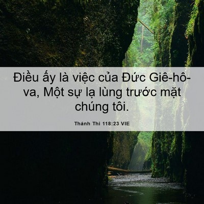 Picture 06 - Thánh Thi 118:23 VIE - Điều ấy là việc của Đức Giê-hô-va, - Bible Verse Picture