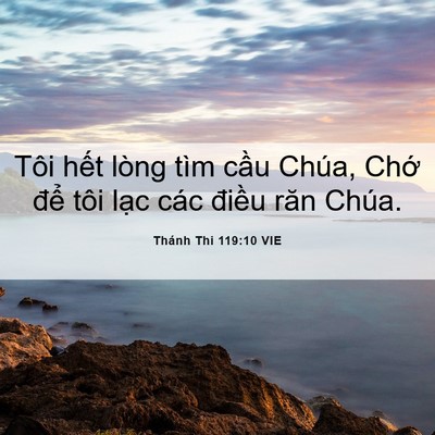 Picture 06 - Thánh Thi 119:10 VIE - Tôi hết lòng tìm cầu Chúa, Chớ để - Bible Verse Picture