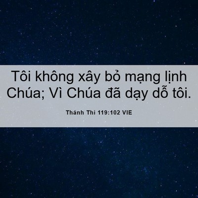 Picture 06 - Thánh Thi 119:102 VIE - Tôi không xây bỏ mạng lịnh Chúa; Vì - Bible Verse Picture