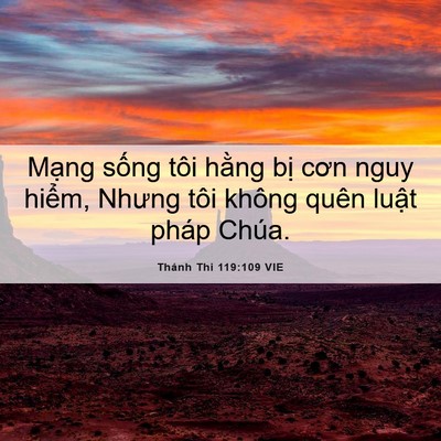 Picture 06 - Thánh Thi 119:109 VIE - Mạng sống tôi hằng bị cơn nguy hiểm, - Bible Verse Picture