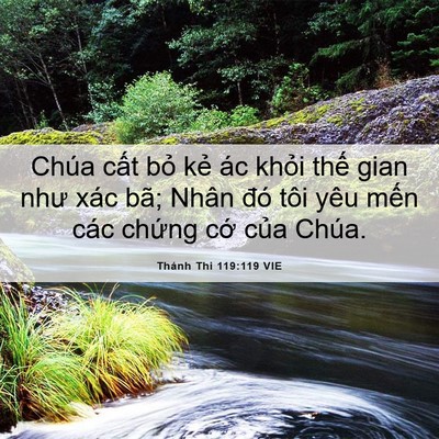 Picture 06 - Thánh Thi 119:119 VIE - Chúa cất bỏ kẻ ác khỏi thế gian như - Bible Verse Picture