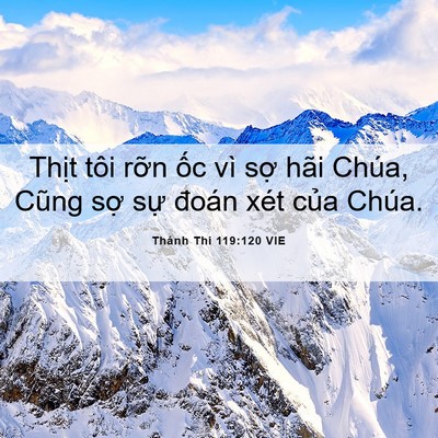 Picture 06 - Thánh Thi 119:120 VIE - Thịt tôi rỡn ốc vì sợ hãi Chúa, Cũng - Bible Verse Picture