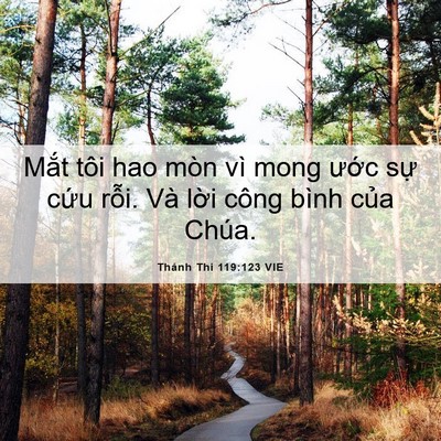 Picture 06 - Thánh Thi 119:123 VIE - Mắt tôi hao mòn vì mong ước sự cứu - Bible Verse Picture
