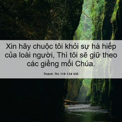 Picture 06 - Thánh Thi 119:134 VIE - Xin hãy chuộc tôi khỏi sự hà hiếp - Bible Verse Picture