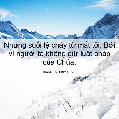 Picture 06 - Thánh Thi 119:136 VIE - Những suối lệ chảy từ mắt tôi, Bởi - Bible Verse Picture