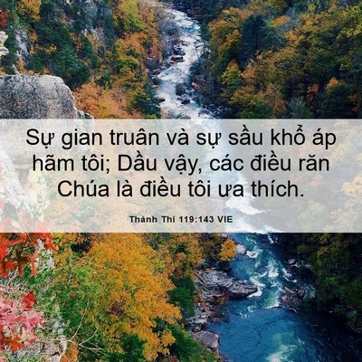 Picture 06 - Thánh Thi 119:143 VIE - Sự gian truân và sự sầu khổ áp hãm - Bible Verse Picture