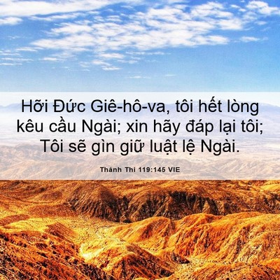 Picture 06 - Thánh Thi 119:145 VIE - Hỡi Đức Giê-hô-va, tôi hết lòng kêu - Bible Verse Picture