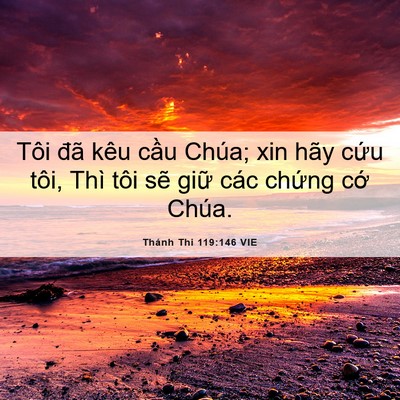 Picture 06 - Thánh Thi 119:146 VIE - Tôi đã kêu cầu Chúa; xin hãy cứu tôi, - Bible Verse Picture