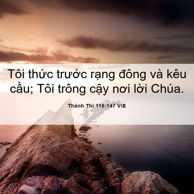 Picture 06 - Thánh Thi 119:147 VIE - Tôi thức trước rạng đông và kêu - Bible Verse Picture